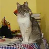 Отзыв от Наиля Соболева